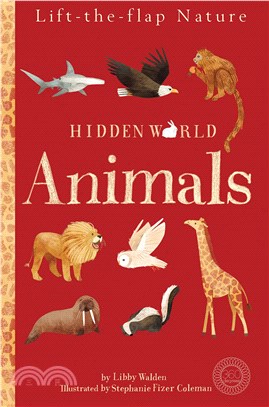 Hidden world :animals /