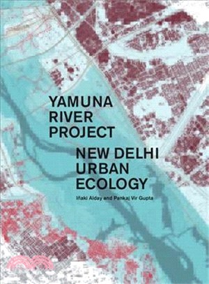 Yamuna River Project