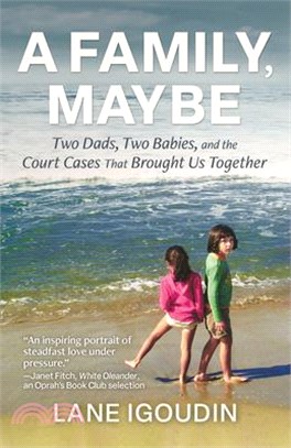 A Family, Maybe: Two Dads, Two Babies, and the Court Cases That Brought Us Together