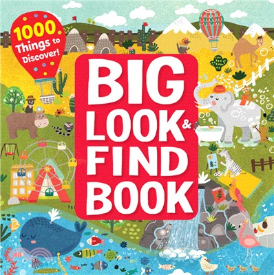 BIG Look & Find Book