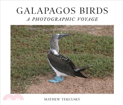 Galapagos Birds：A Photographic Voyage