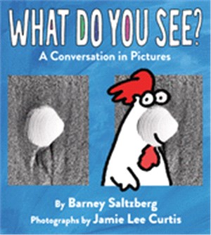 What Do You See?: A Conversation in Pictures