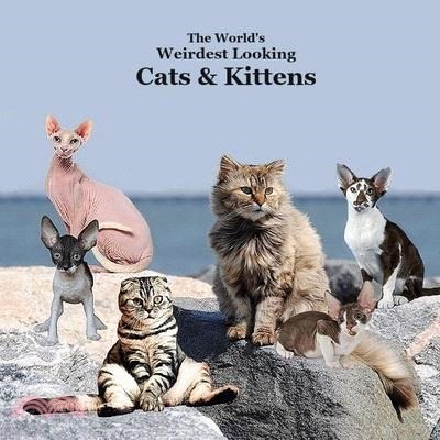 World's Weirdest Looking Cats and Kittens Kids Book: Great Way for Children to Meet the Weirdest Looking Cats and Kittens