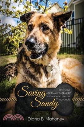 Saving Sandy