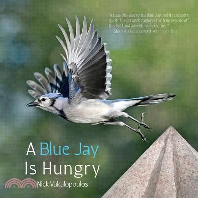 A Blue Jay is Hungry