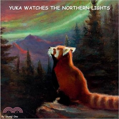 Yuka watches the Northern Lights