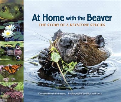 At Home With the Beaver