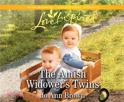 The Amish Widower's Twins