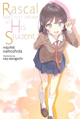 Rascal Does Not Dream of His Student (light novel)