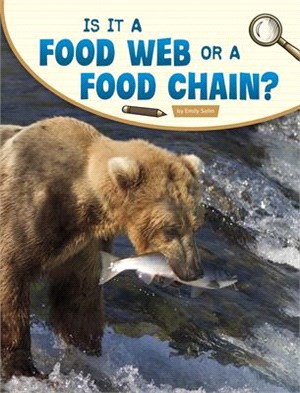 Is It a Food Web or a Food Chain?