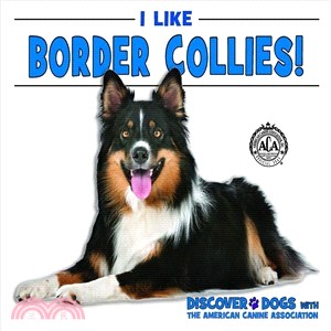 I Like Border Collies!