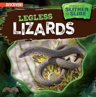 Legless Lizards