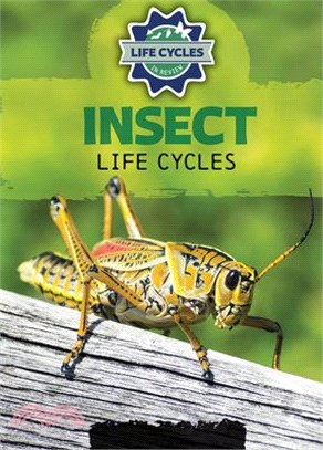 Insect Life Cycles