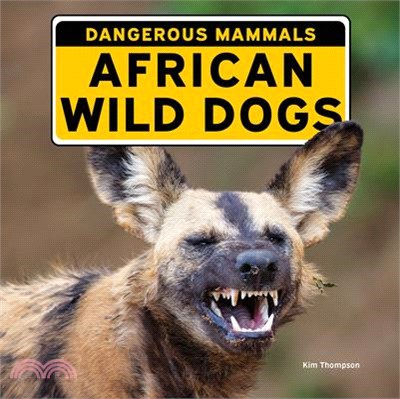 African Wild Dogs