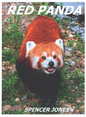 Red Panda ― Learn About Red Pandas-amazing Pictures & Fun Facts