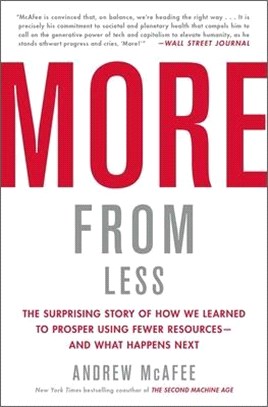 More from Less ― The Surprising Story of How We Learned to Prosper Using Fewer Resources - and What Happens Next