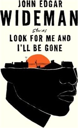 Look for Me and I'll Be Gone: Stories