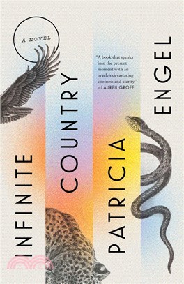 Infinite country :a novel /