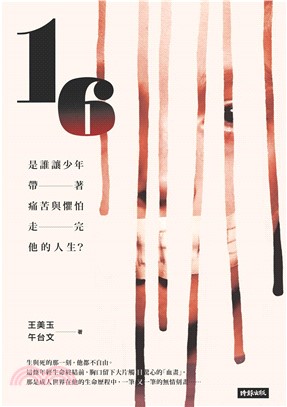 16：是誰讓少年帶著痛苦與懼怕走完他的人生(電子書)