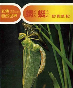 彩色自然世界：蜻蜓〈藍腰蜻蜓〉(電子書)