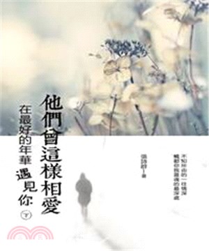 他們曾這樣相愛：在最好的年華遇見你〈下冊〉(電子書)