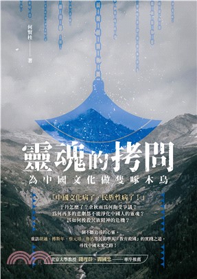 靈魂的拷問：為中國文化做隻啄木鳥(電子書)