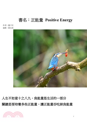 正能量 POSITIVE ENERGY(電子書)