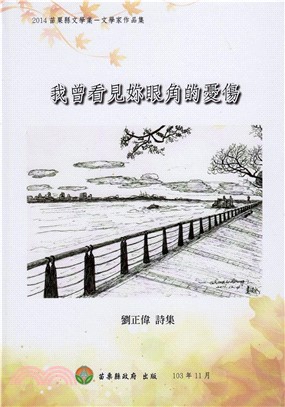 我曾看見妳眼角的憂傷(電子書)