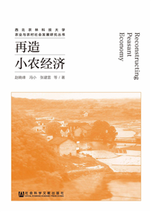 再造小农经济(電子書)