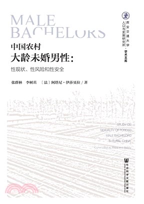 中国农村大龄未婚男性：性现状、性风险和性安全(電子書)