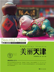 美丽天津(電子書)