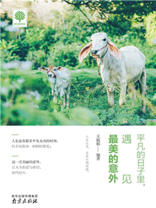 平凡的日子里，遇见最美的意外(電子書)