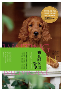 英文爱藏：我在回忆里等你(電子書)