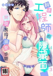 幹練工程師的隱藏面 「開發」我的溺愛步驟（3）(電子書)