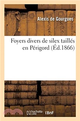 Foyers divers de silex tailles en Perigord