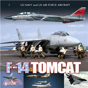 F14 Tomcat ─ In Combat