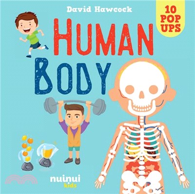 Human Body