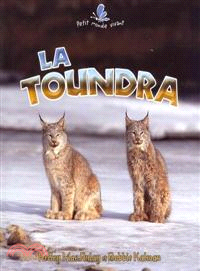 La Toundra / Tundra Food Chains