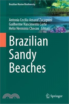 Brazilian Sandy Beaches