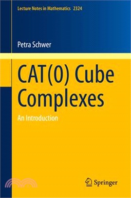 Cat(0) Cube Complexes: An Introduction