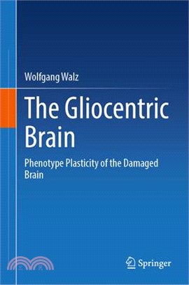 The Gliocentric Brain: Phenotype Plasticity of the Damaged Brain