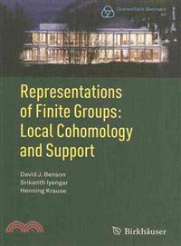 Representations of Finite Groups: