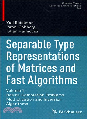 Separable Type Representations of Matrices and Fast Algorithms ― Basics. Completion Problems. Multiplication and Inversion Algorithms