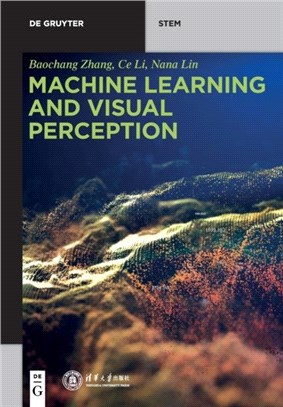 Machine Learning and Visual Perception