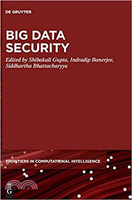 Big Data Security (Frontiers in Computational Intelligence)