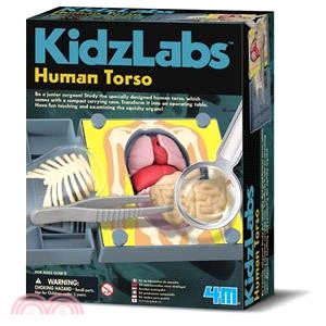 【4M】Human Torso 人體器官模型