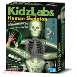 【4M】Human Skeleton 骨骼的奧秘