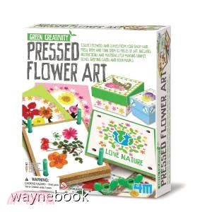 【4M】Green Creativity/Pressed Flower Art 花花世界