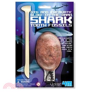 【4M】Dig a Glow Shark Tooth Fossil 鯊魚蛋