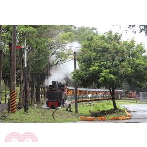 【台糖明信片】烏樹林糖廠小火車與遊客們的寫真